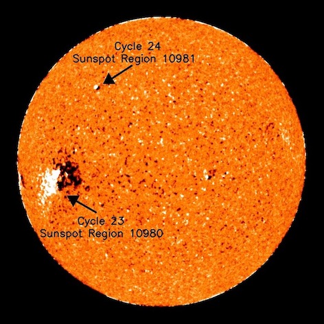 800px-Sunspot_10981_Solar_Cycle_24